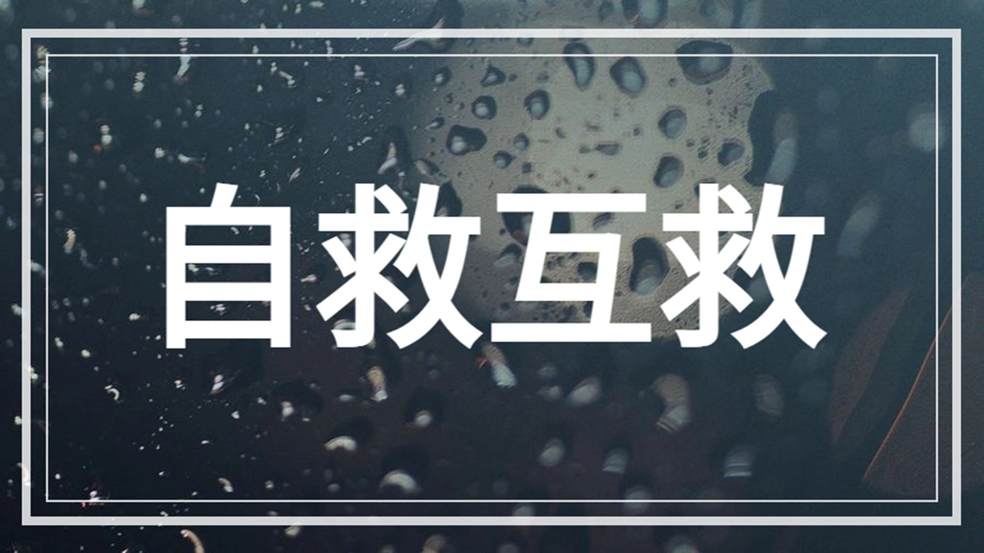 自救互救